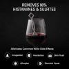 imagePureWine Wine Wands Purifier 8 Wine Filters Remover Histamines Sulfite  May Reduce and Alleviate Wine Allergies ampamp Sensitivities  Restores Taste Perfect Wine Pour Gifting HolidayPack of 3